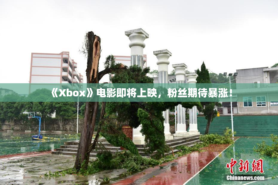 《Xbox》电影即将上映，粉丝期待暴涨！