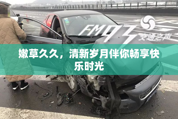 嫩草久久，清新岁月伴你畅享快乐时光
