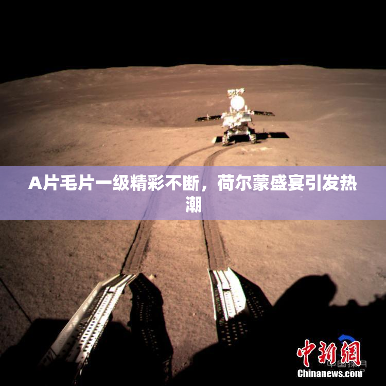A片毛片一级精彩不断，荷尔蒙盛宴引发热潮