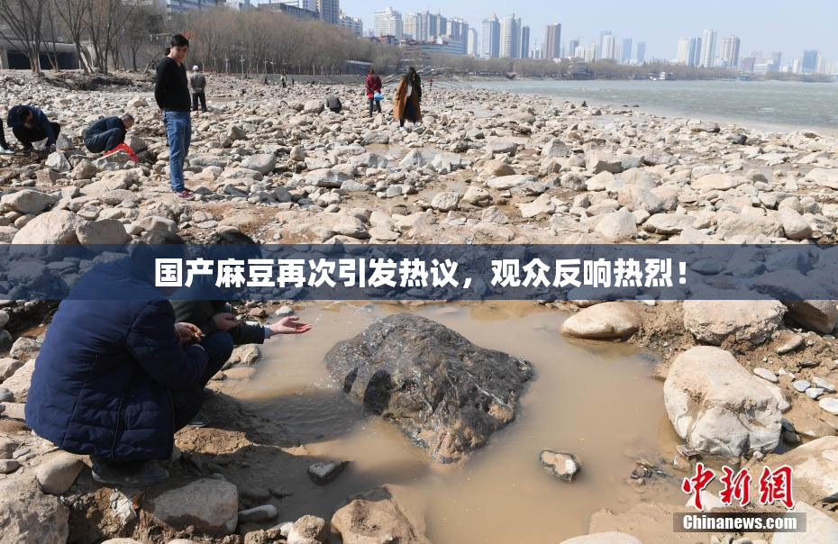 国产麻豆再次引发热议，观众反响热烈！