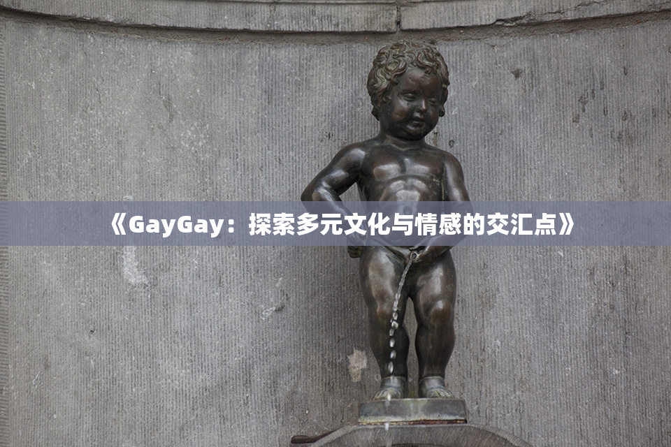 《GayGay：探索多元文化与情感的交汇点》