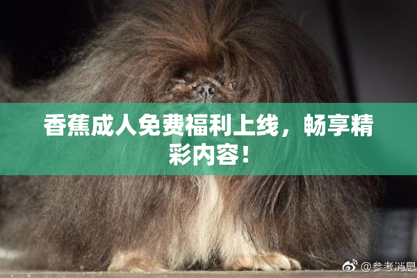香蕉成人免费福利上线，畅享精彩内容！