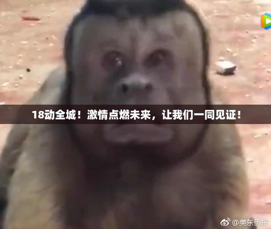 18动全城！激情点燃未来，让我们一同见证！