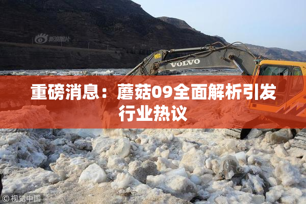 重磅消息：蘑菇09全面解析引发行业热议