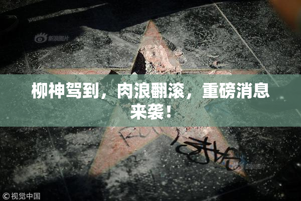 柳神驾到，肉浪翻滚，重磅消息来袭！