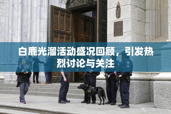 白鹿光溜活动盛况回顾，引发热烈讨论与关注