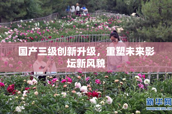 国产三级创新升级，重塑未来影坛新风貌