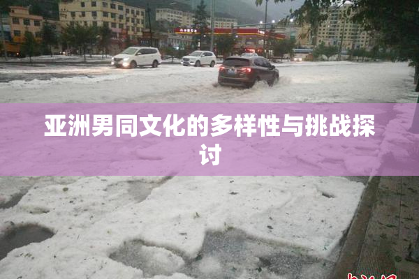 亚洲男同文化的多样性与挑战探讨