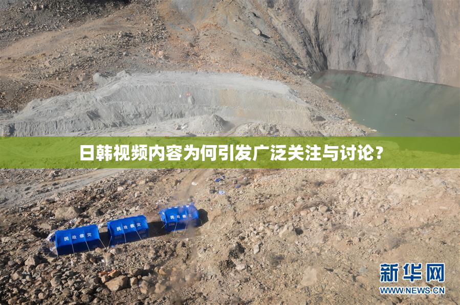 日韩视频内容为何引发广泛关注与讨论？