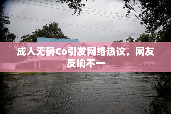 成人无码Co引发网络热议，网友反响不一