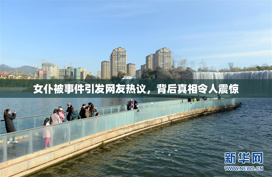 女仆被事件引发网友热议，背后真相令人震惊