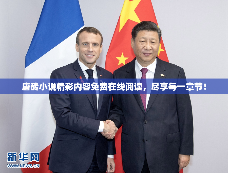 唐砖小说精彩内容免费在线阅读，尽享每一章节！
