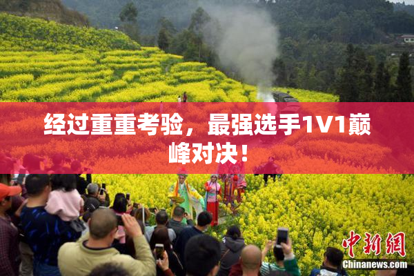 经过重重考验，最强选手1V1巅峰对决！