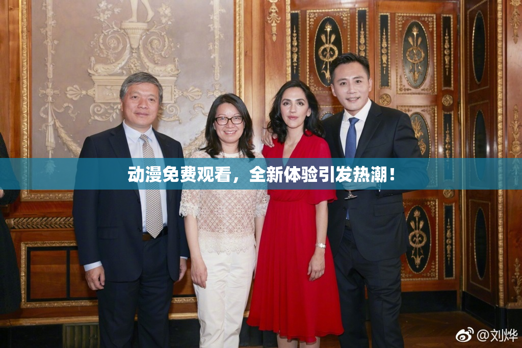 动漫免费观看，全新体验引发热潮！