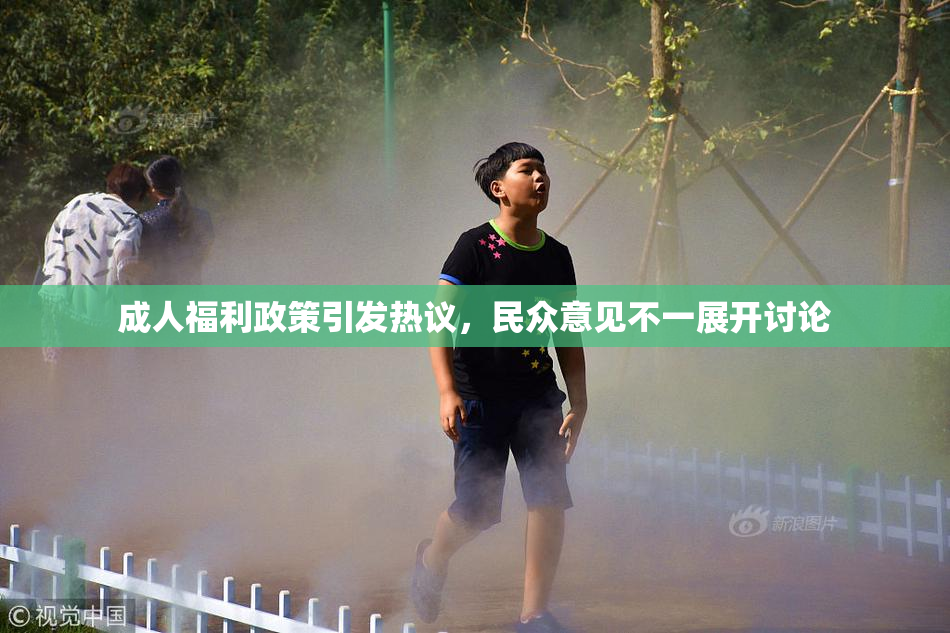 成人福利政策引发热议，民众意见不一展开讨论