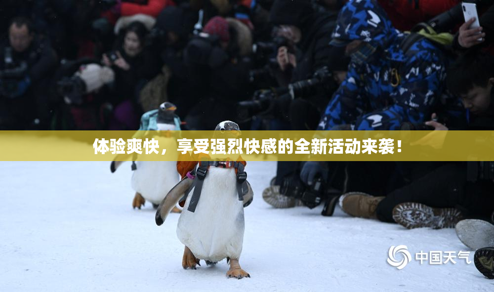 体验爽快，享受强烈快感的全新活动来袭！