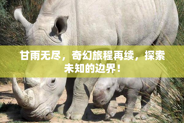 甘雨无尽，奇幻旅程再续，探索未知的边界！