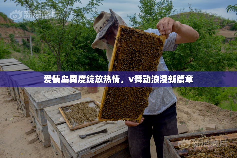 爱情岛再度绽放热情，v舞动浪漫新篇章