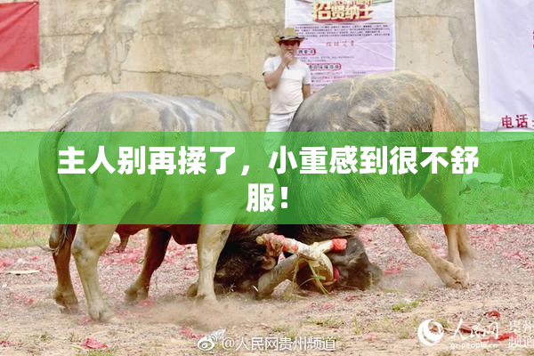 主人别再揉了，小重感到很不舒服！