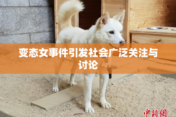 变态女事件引发社会广泛关注与讨论