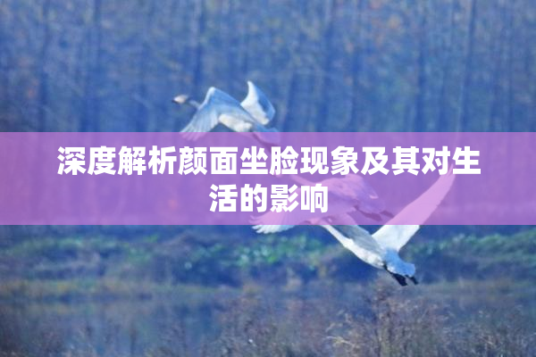深度解析颜面坐脸现象及其对生活的影响