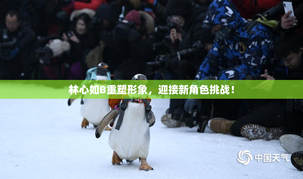 林心如B重塑形象，迎接新角色挑战！
