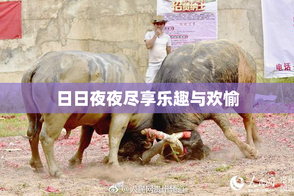 日日夜夜尽享乐趣与欢愉