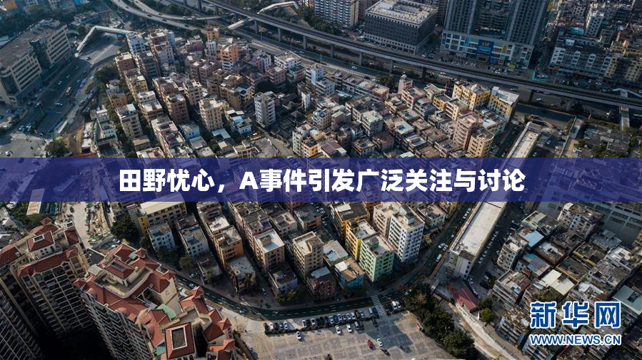 田野忧心，A事件引发广泛关注与讨论
