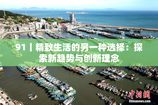 91丨精致生活的另一种选择：探索新趋势与创新理念