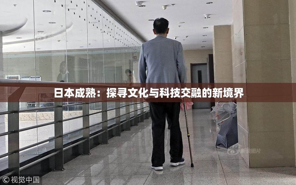 日本成熟：探寻文化与科技交融的新境界