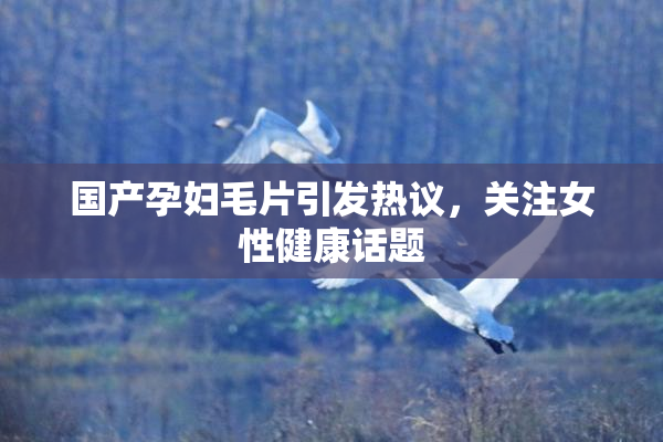 国产孕妇毛片引发热议，关注女性健康话题