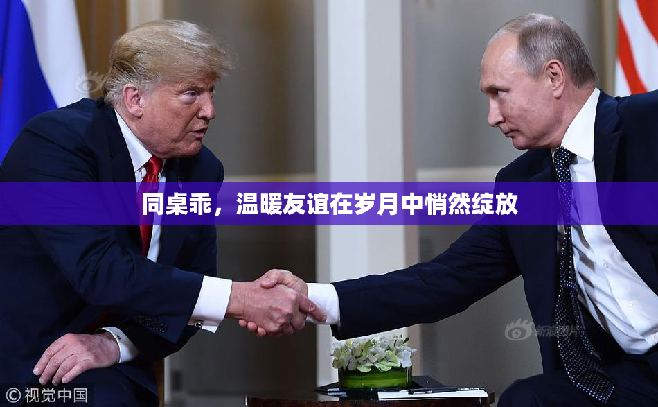 同桌乖，温暖友谊在岁月中悄然绽放