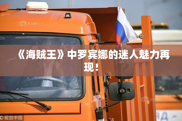《海贼王》中罗宾娜的迷人魅力再现！