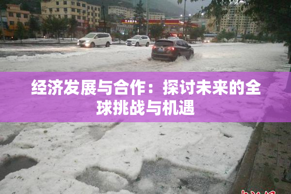 经济发展与合作：探讨未来的全球挑战与机遇