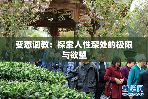 变态调教：探索人性深处的极限与欲望