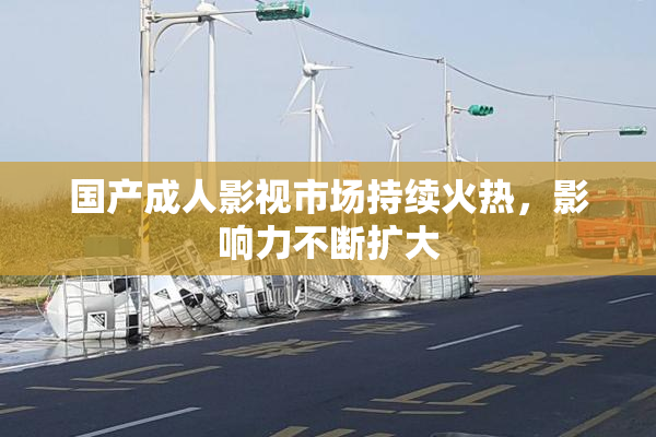 国产成人影视市场持续火热，影响力不断扩大