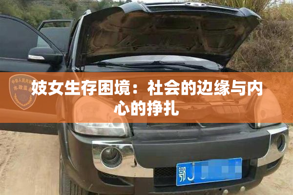 妓女生存困境：社会的边缘与内心的挣扎