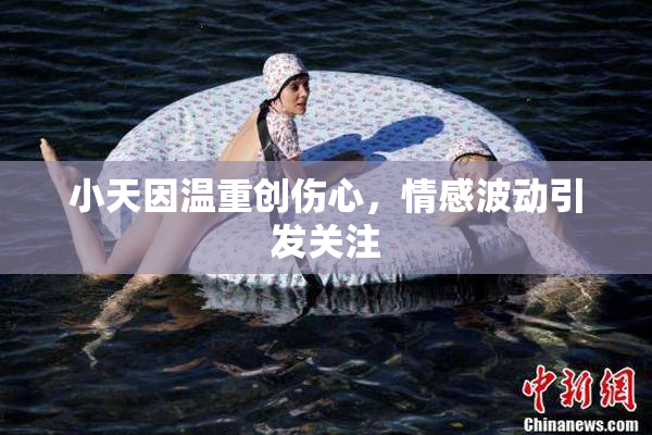 小天因温重创伤心，情感波动引发关注
