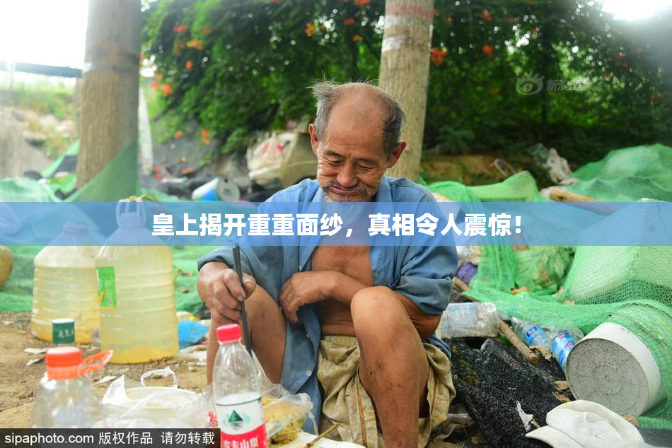 皇上揭开重重面纱，真相令人震惊！