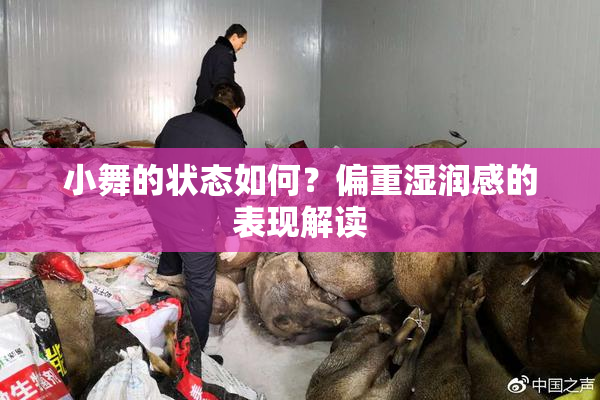 小舞的状态如何？偏重湿润感的表现解读