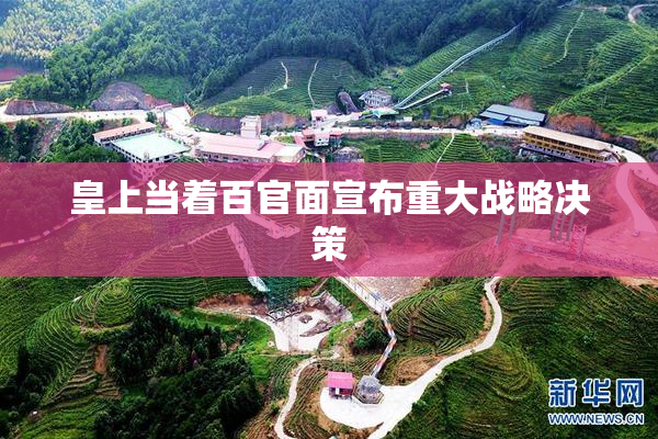 皇上当着百官面宣布重大战略决策