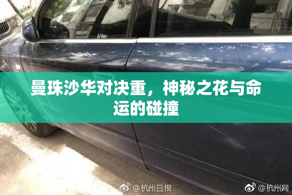 曼珠沙华对决重，神秘之花与命运的碰撞