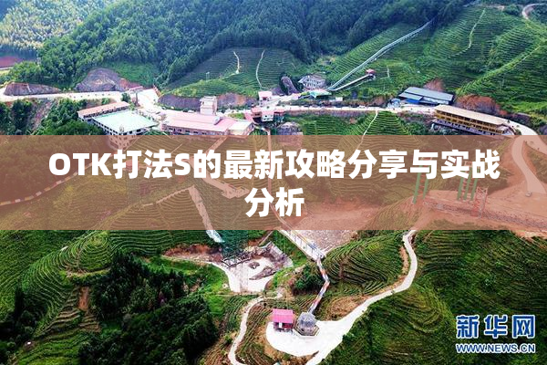 OTK打法S的最新攻略分享与实战分析