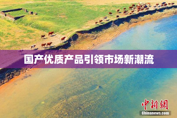 国产优质产品引领市场新潮流