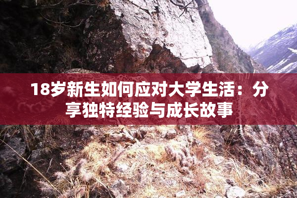 18岁新生如何应对大学生活：分享独特经验与成长故事
