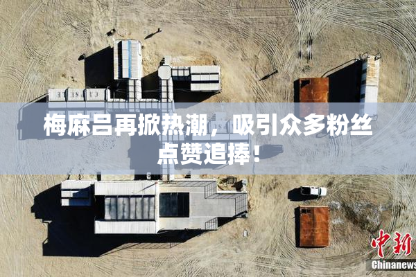 梅麻吕再掀热潮，吸引众多粉丝点赞追捧！