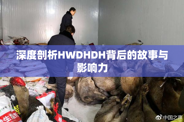 深度剖析HWDHDH背后的故事与影响力