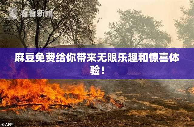 麻豆免费给你带来无限乐趣和惊喜体验！