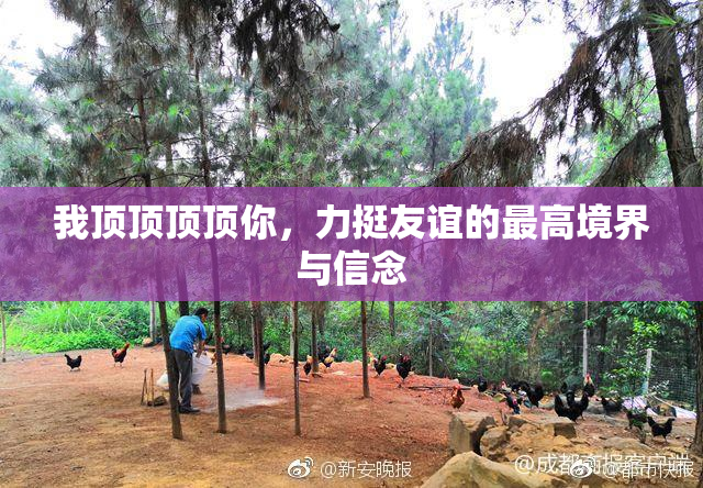 我顶顶顶顶你，力挺友谊的最高境界与信念