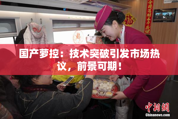 国产萝控：技术突破引发市场热议，前景可期！
